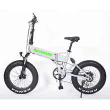 Bicicleta eléctrica plegable City Ebike Fat Tire con batería oculta para la venta